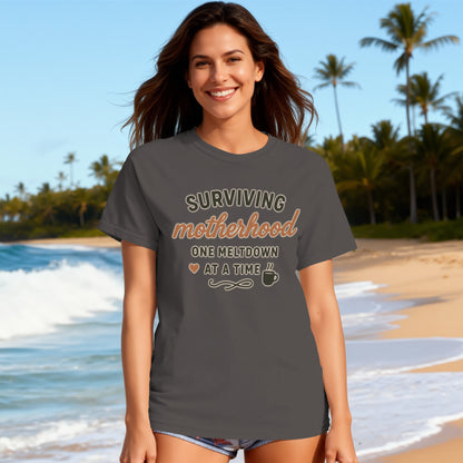 Graphite- Surviving Motherhood One Meltdown at a Time T-shirt